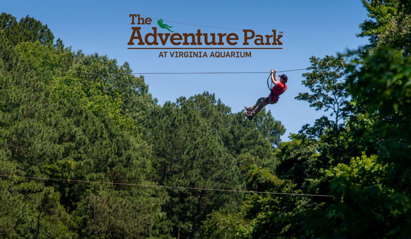 Adventure Park at Virginia Aquarium Adventure Park at Virginia Aquarium
